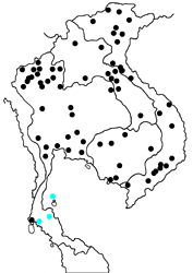 Troides aeacus aeacus map