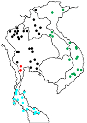 Atrophaneura astorion astorion map