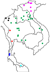 Papilio slateri marginata map