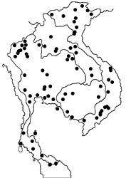 Papilio clytia clytia map