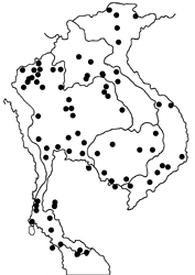 Papilio agenor agenor Map