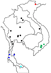 Papilio prexaspes intricatus Map