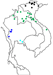 Papilio bianor pinratanai Map
