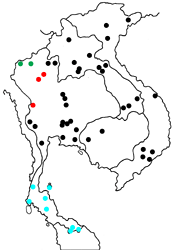 Graphium macareus burmensis Map