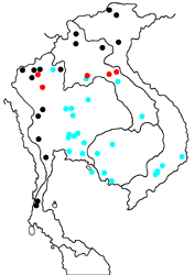 Graphium xenocles kephisos Map