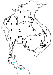 Ariadne merione ginosa map