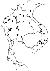 Laringa horsfieldii glaucescens map
