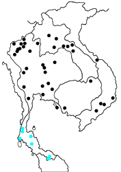 Poritia hewitsoni regia map