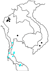 Simiskina phalena harterti map