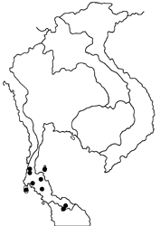 Miletus biggsii biggsii map