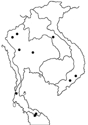 Allotinus subviolaceus subviolaceus map