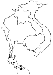 Allotinus strigatus malayanus map