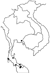 Allotinus horsfieldi permagnus map