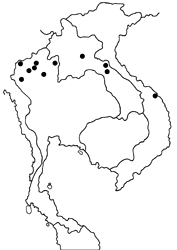 Allotinus drumila aphthonius map