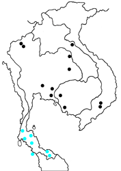 Logania marmorata damis map