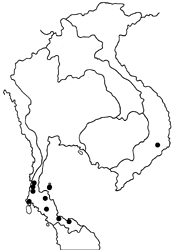 Curetis santana malayica map