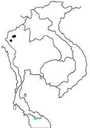 Tarucus waterstradti vileja map