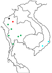 Talicada nyseus burmana map