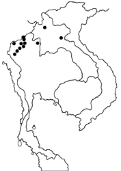 Bothrinia chennellii celastroides map