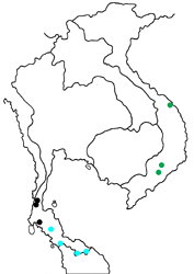 Lycaenopsis haraldus annamitica map