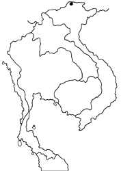 Celastrina oreas yunnana map