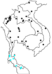 Celastrina lavendularis isabella map