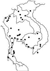 Catochrysops strabo strabo map