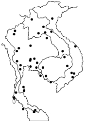 Catochrysops panormus exiguus map