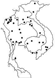 Leptotes plinius map