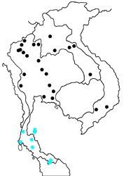 Nacaduba angusta kerriana map