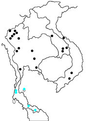 Nacaduba hermus nabo map