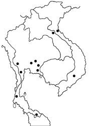 Prosotas gracilis ni map