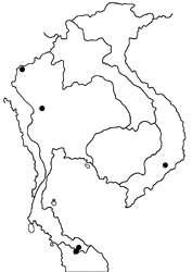 Catopyrops ancyra aberrans map