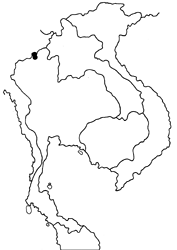 Caerulea coeligena chengmaica map