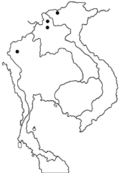 Heliophorus kohimensis elioti map