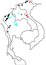 Heliophorus ila urius map