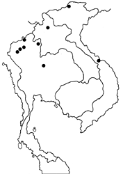 Spindasis evansii ayuthia map