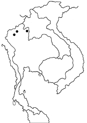 Spindasis masaeae map