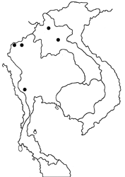 Spindasis miyamotoi map