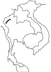 Satyrium mackwoodi map