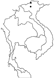 Fixsenia tateishii map