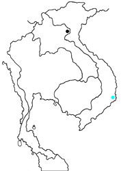 Euaspa forsteri ueharai map