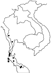 Arhopala ijanensis map
