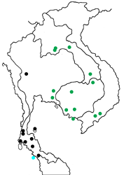 Arhopala anthelus anthea map