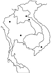 Arhopala camdeo map
