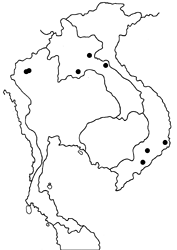 Arhopala oenea map