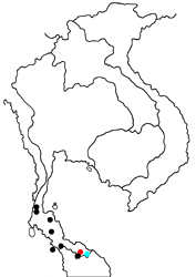 Arhopala amphimuta amphimuta map