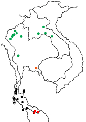 Arhopala democritus albopunctata map
