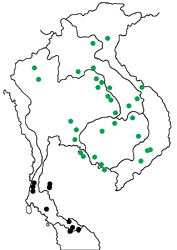 Arhopala elopura ssp. map