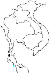Arhopala pseudomuta ariavana map